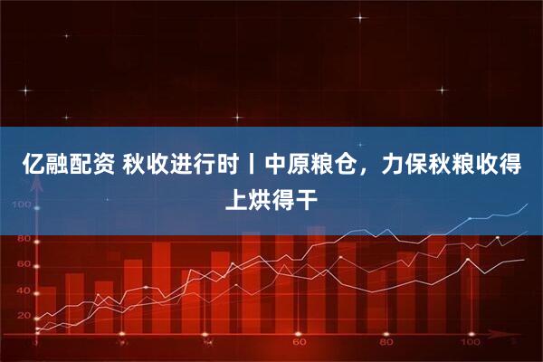 亿融配资 秋收进行时丨中原粮仓，力保秋粮收得上烘得干