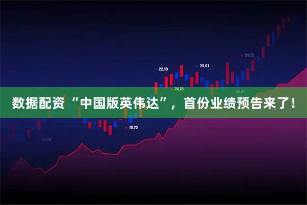 数据配资 “中国版英伟达”，首份业绩预告来了！